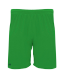 FP Dortmund Shorts